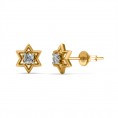 Crystal Star Enchantica Studs